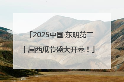 2025中国·东明第二十届西瓜节盛大开幕！