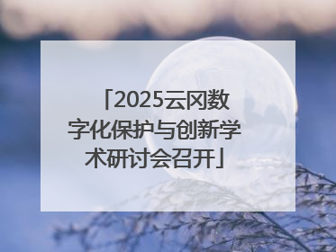 2025云冈数字化保护与创新学术研讨会召开