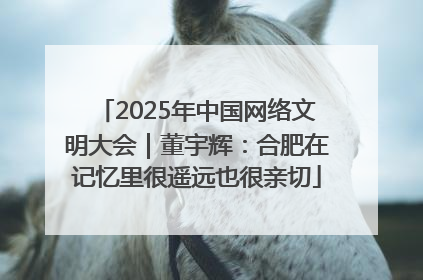 2025年中国网络文明大会｜董宇辉：合肥在记忆里很遥远也很亲切