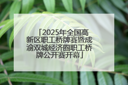 2025年全国高新区职工桥牌赛暨成渝双城经济圈职工桥牌公开赛开幕