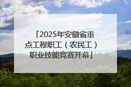 2025年安徽省重点工程职工（农民工）职业技能竞赛开幕