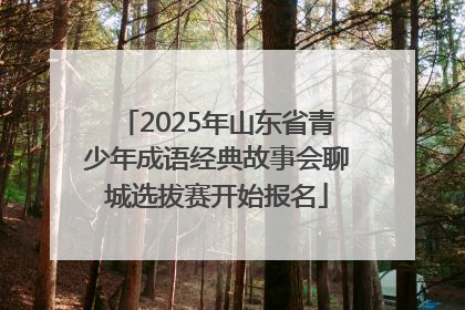 2025年山东省青少年成语经典故事会聊城选拔赛开始报名