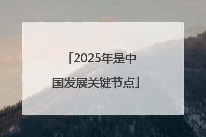 2025年是中国发展关键节点