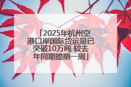 2025年杭州空港口岸国际货运量已突破10万吨 较去年同期提前一周