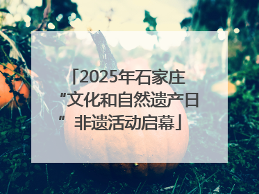2025年石家庄“文化和自然遗产日”非遗活动启幕