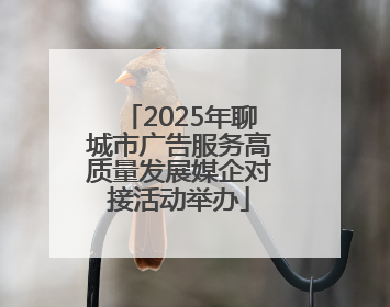 2025年聊城市广告服务高质量发展媒企对接活动举办