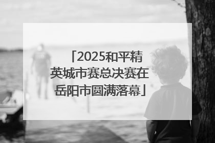 2025和平精英城市赛总决赛在岳阳市圆满落幕