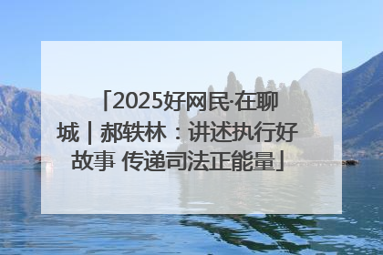 2025好网民·在聊城｜郝轶林：讲述执行好故事 传递司法正能量