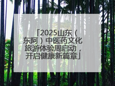 2025山东（东阿）中医药文化旅游体验周启动，开启健康新篇章