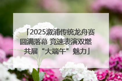 2025溆浦传统龙舟赛圆满落幕 竞速表演双燃 共展“大端午”魅力