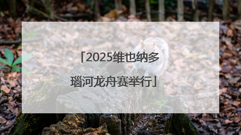 2025维也纳多瑙河龙舟赛举行