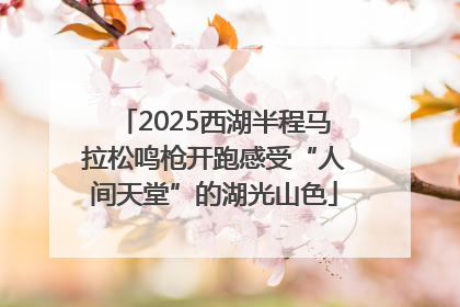 2025西湖半程马拉松鸣枪开跑感受“人间天堂”的湖光山色