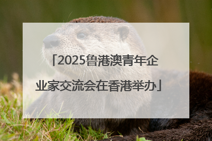 2025鲁港澳青年企业家交流会在香港举办