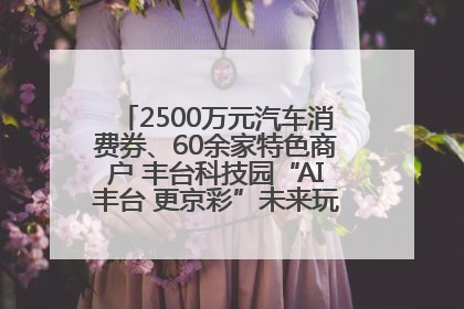 2500万元汽车消费券、60余家特色商户 丰台科技园“AI丰台 更京彩”未来玩家市集活动正式开幕