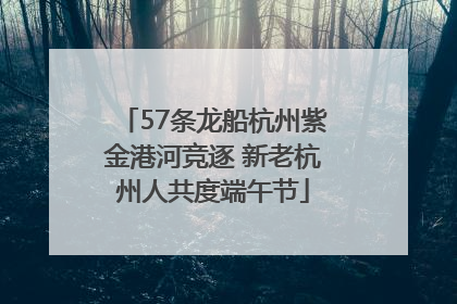 57条龙船杭州紫金港河竞逐 新老杭州人共度端午节