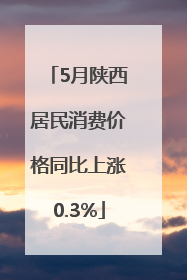 5月陕西居民消费价格同比上涨0.3%