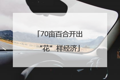 70亩百合开出“花”样经济