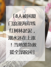 8人被困厦门浪漫海岸线红树林淤泥，潮水还在上涨！当地紧急救援全部脱困