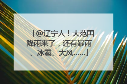 @辽宁人！大范围降雨来了，还有暴雨、冰雹、大风……