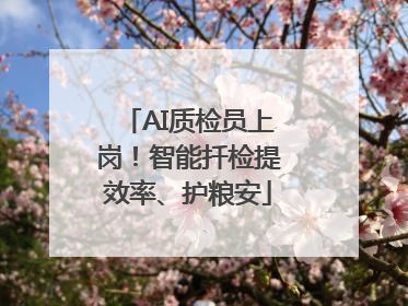 AI质检员上岗！智能扦检提效率、护粮安