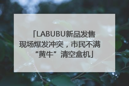 LABUBU新品发售现场爆发冲突，市民不满“黄牛”清空盒机